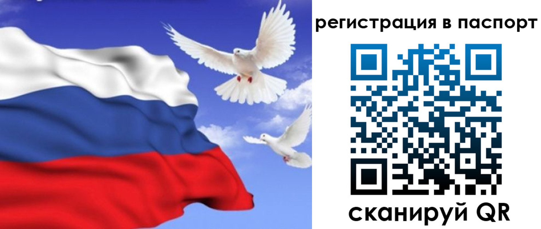купить прописку в Видном